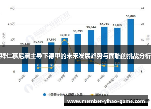 拜仁慕尼黑主导下德甲的未来发展趋势与面临的挑战分析