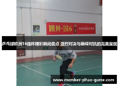 乒乓球欧洲16强杯精彩瞬间盘点 激烈对决与巅峰对抗的完美呈现
