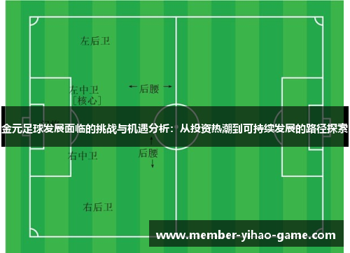 金元足球发展面临的挑战与机遇分析：从投资热潮到可持续发展的路径探索