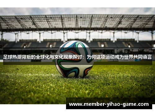 足球热潮背后的全球化与文化现象探讨：为何这项运动成为世界共同语言