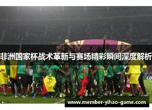 非洲国家杯战术革新与赛场精彩瞬间深度解析